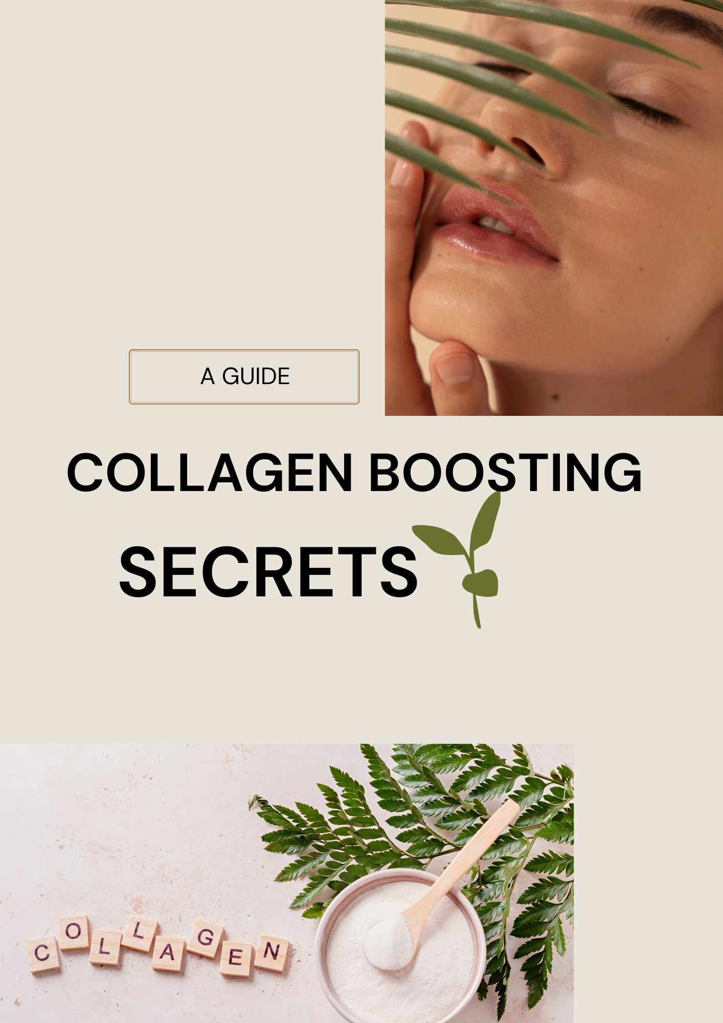 Ebook